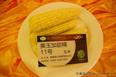 泰田88玉米农药大品牌