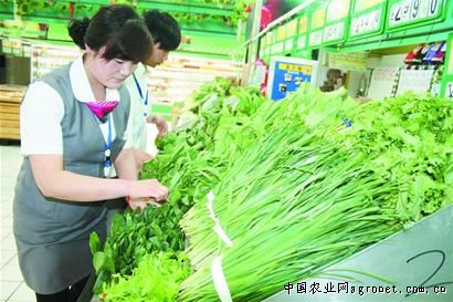 叶类蔬菜供应进入伏缺期 湖南蔬菜价格止跌趋稳