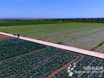 中农化肥有限公司