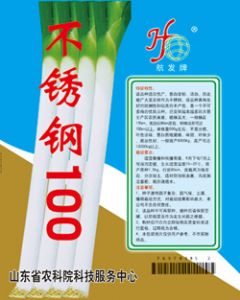 供应不锈钢100—大葱种子