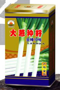 供应金棒10号—葱种子