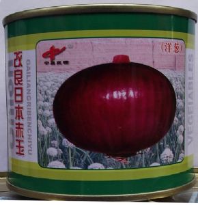 供应改良日本赤玉洋葱—洋葱种子