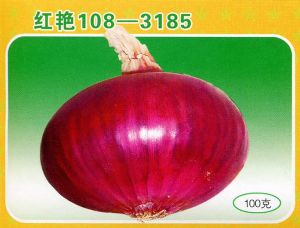 供应红艳108-3185—洋葱种子